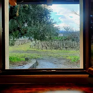 La Finestra Sul Vigneto Chalet